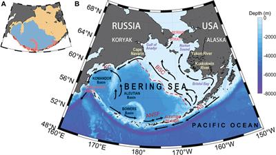 Spatial and temporal variations in sea surface pCO2 and air-sea flux of CO2 in the Bering Sea revealed by satellite-based data during 2003–2019